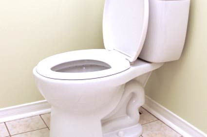 Toilet installation in Naples, FL